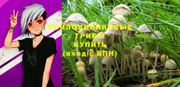 каннабис Аркадак