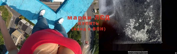 каннабис Аркадак