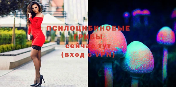 а пвп мука Арсеньев