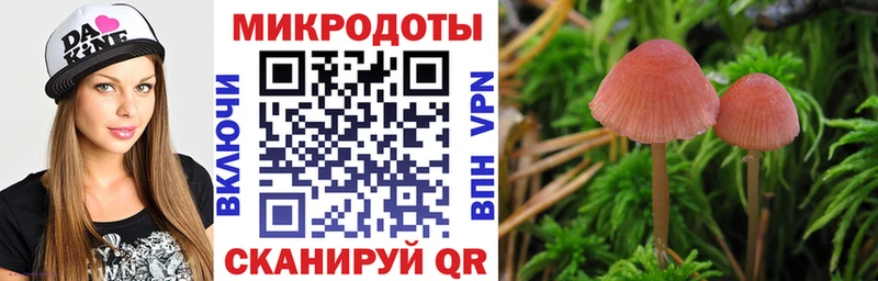 мега ССЫЛКА Волжский Псилоцибиновые грибы Magic Shrooms хочу