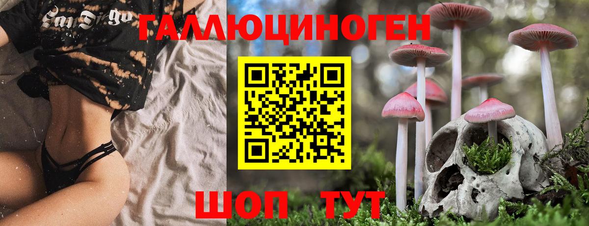 Галлюциногенные грибы Psilocybe Волжский